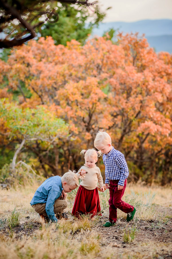 3 small children in the mountains picking up pine cones